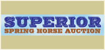 Superior Spring Horse Auction