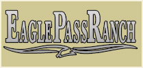 Eagle Pass Ranch Bull Sale