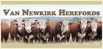 Van Newkirk Hereford Bull & Female Sale