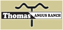 Thomas Angus Ranch Wyoming Division