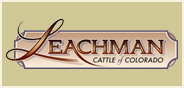 Leachman Cattle