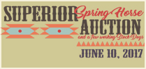 Superior Spring Horse Auction