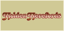 Holden Herefords (Ch.998)