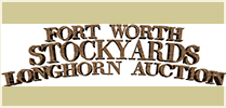 Fort Worth Stockyards Longhorn Auction