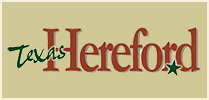 Texas Hereford & Red Angus Sale