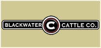 Blackwater Cattle