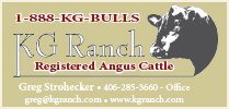 KG Ranch