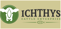 Ichthys Cattle