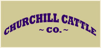 Churchill Cattle Company