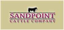 Sandpoint Cattle