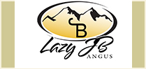 Lazy JB Angus