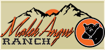 Malek Angus Ranch