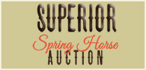 Superior Spring Horse Auction