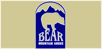 Bear Mountain Angus Ranch