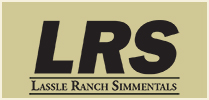 Lassle Ranch Simmentals
