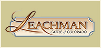 Leachman Cattle