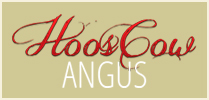Hoos Cow Angus