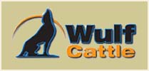 Wulf Cattle