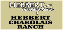 Hebbert Charolais