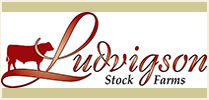 Ludvigson Stock Farms