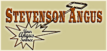 Stevenson Angus