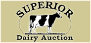 Superior Dairy Auction