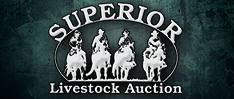 Superior Livestock Website