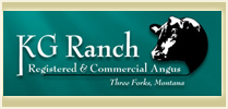 KG Ranch Production Sale