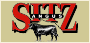 Sitz Angus Annual Fall Bull Sale