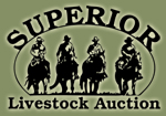 Superior Livestock "Corn Belt Classic" Auction- LIVE from The Marriott South Sioux Riverfront Day 1
