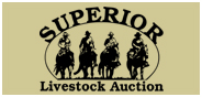 Superior Livestock "Gulf Coast Classic" Auction LIVE from Natchitoches, LA-Day 1